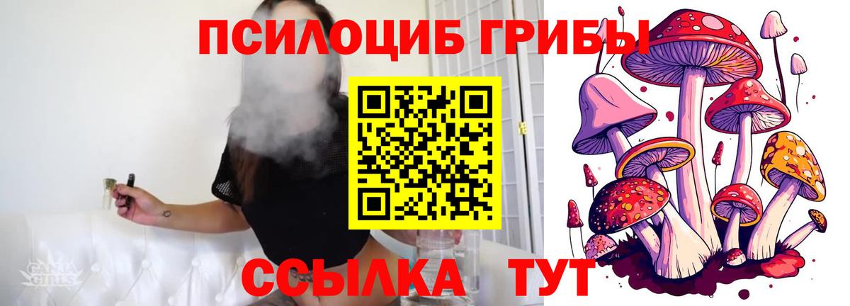 Тобольск  Галлюциногенные грибы MAGIC MUSHROOMS  наркота  Вход с VPN 